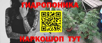 spice Новоалександровск