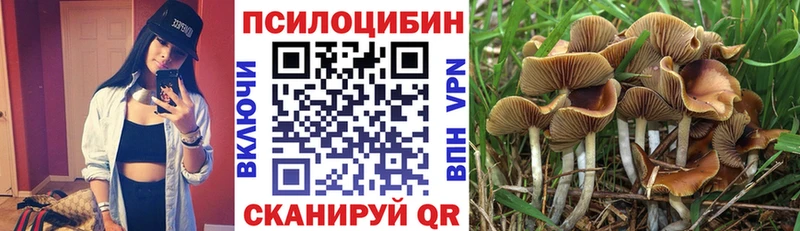 Псилоцибиновые грибы Magic Shrooms  как найти закладки  Фурманов 