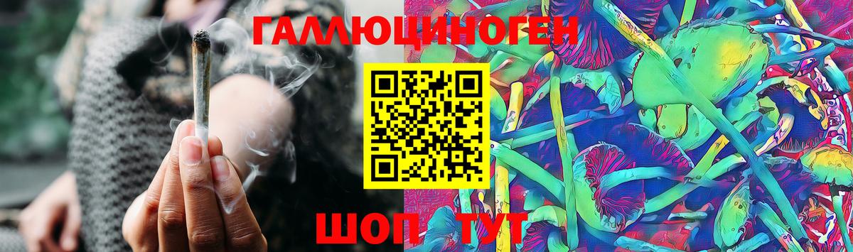 Галлюциногенные грибы MAGIC MUSHROOMS  купить  цена  Псилоцибиновые грибы мицелий  Фурманов  Вход с VPN 