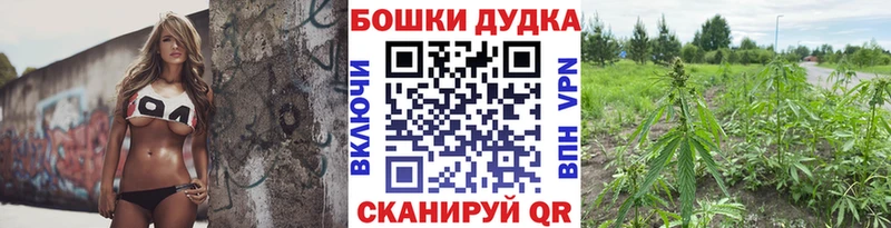 где продают Фурманов Марихуана семена